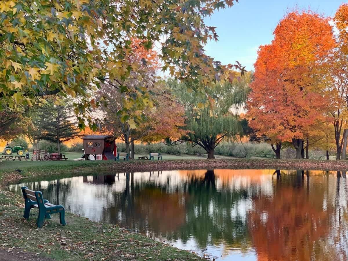 The Cortland Cottage At Brant'S Apple Orchard Ashtabula Eksteriør bilde